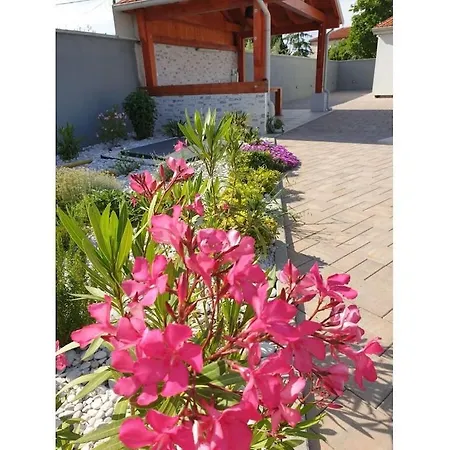 In With Swimming Pool Вилла Marcana